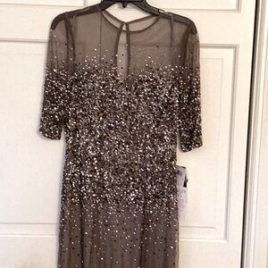 NWT beautiful Adrianna Papell evening dress